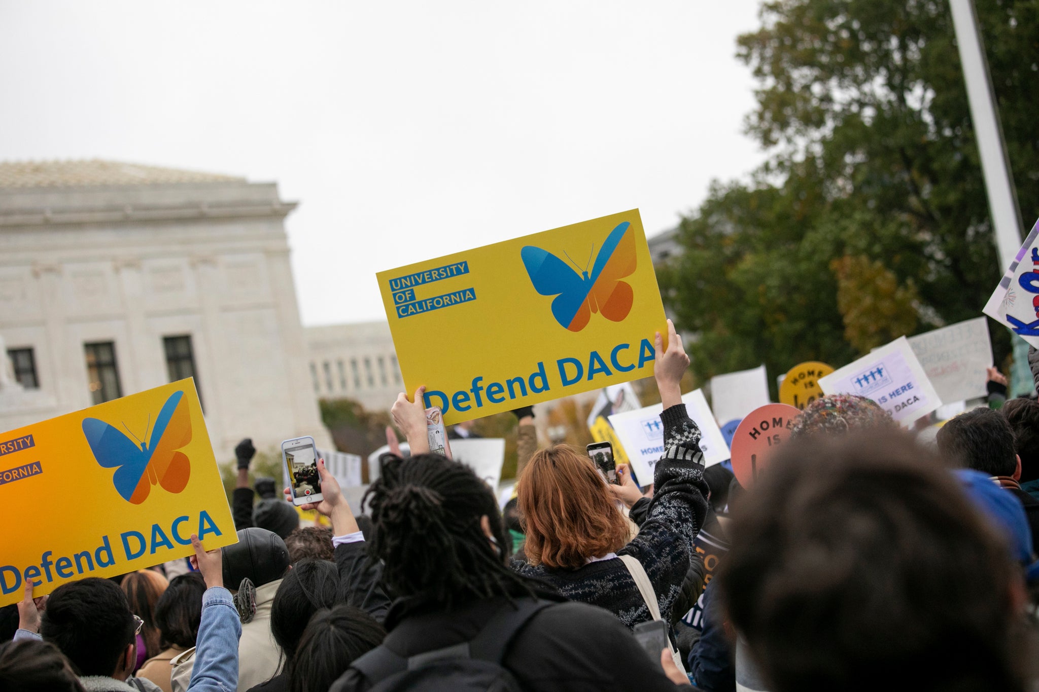 Experts on DACA News