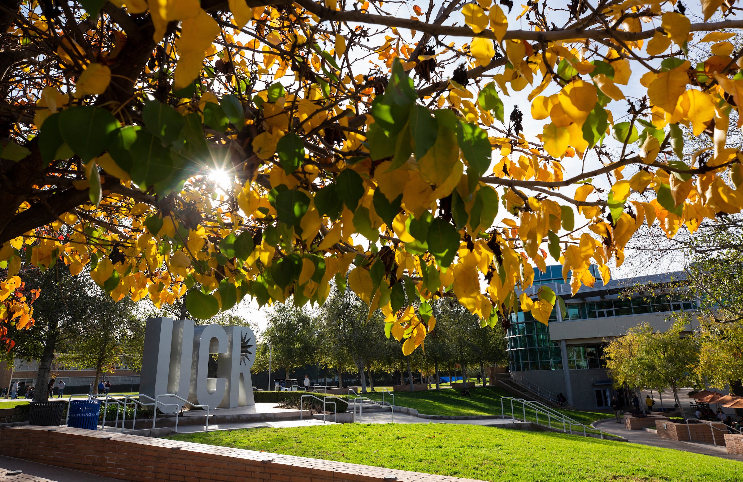 Ucr Fall 2022 Start Date