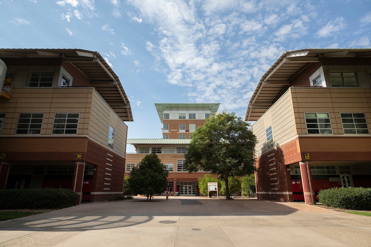 University of Maryland scholar is UCR's next CHASS dean - Vimarsana News