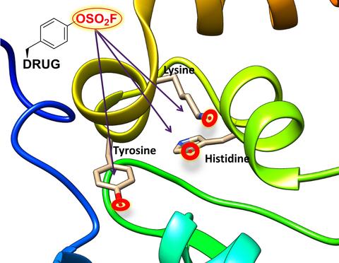 Targeting cancer cells Targeting cancer cells