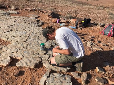 Researcher studying fossils Researcher studying fossils