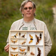 Doug Yanega holds collection of cicadas