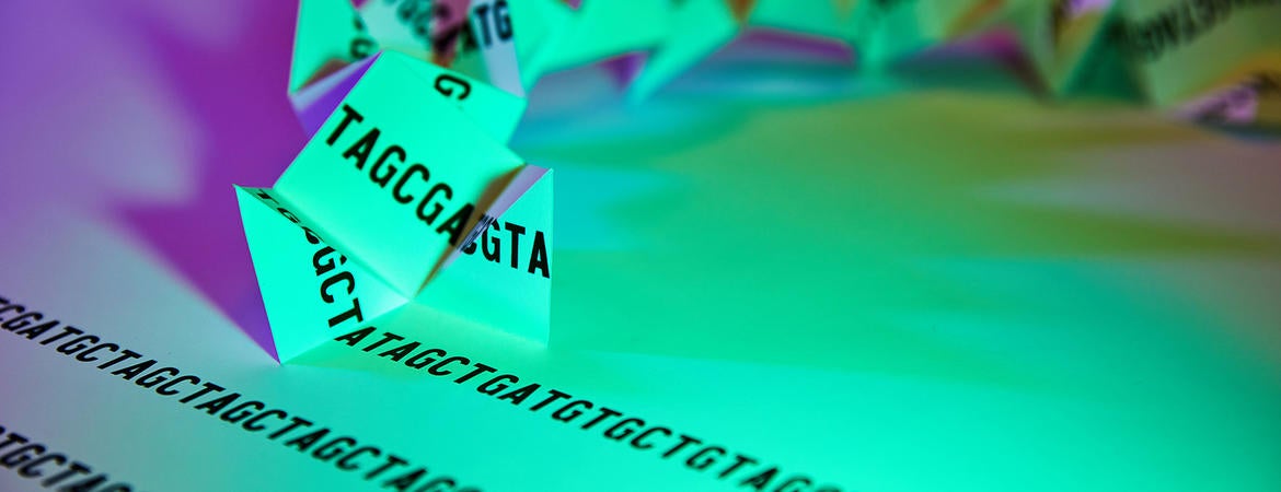 Base pairs of DNA fold themselves up into a spiral. Credit: Darryl Leja and Ernesto Del Aguila III, NHGRI
