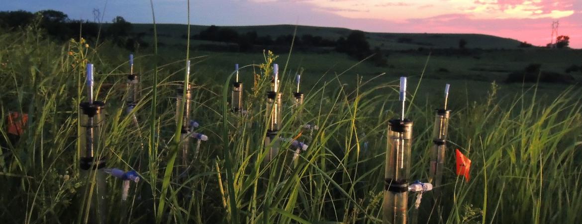 Irrigation test site in Kansas