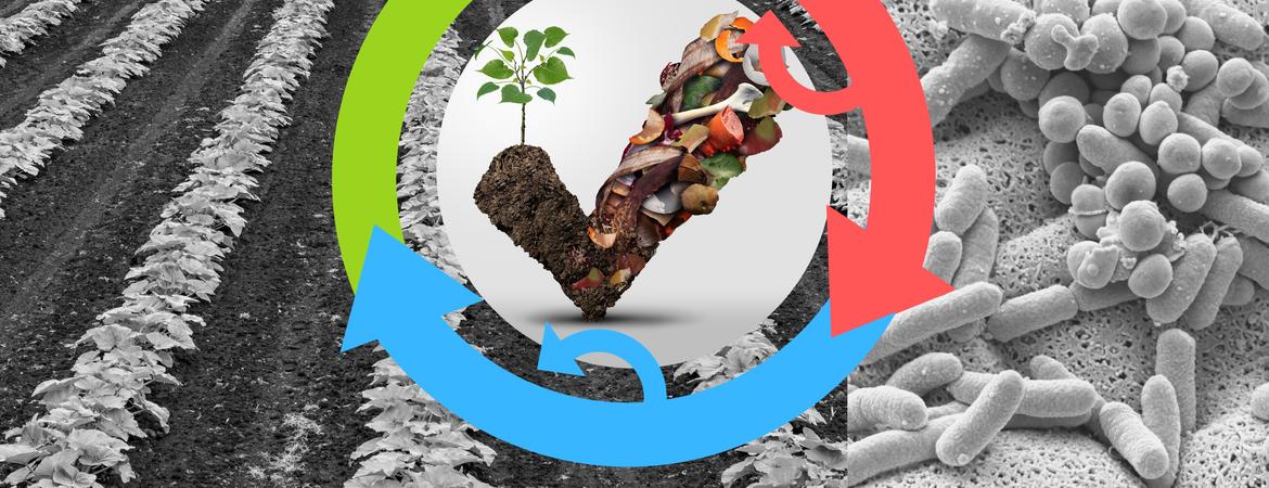 circular economy