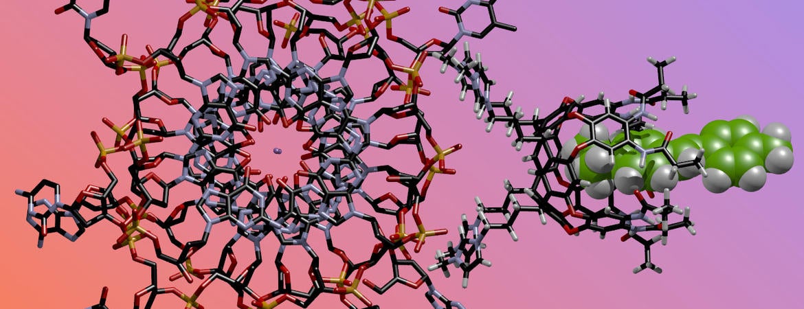 chemical nose