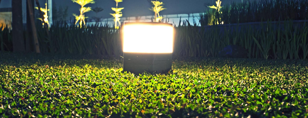 field at night