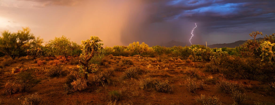 rainy day in the desert