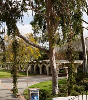 A view of the bell tower lawn on campus