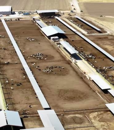An aerial view of a dairy farm in Southern California