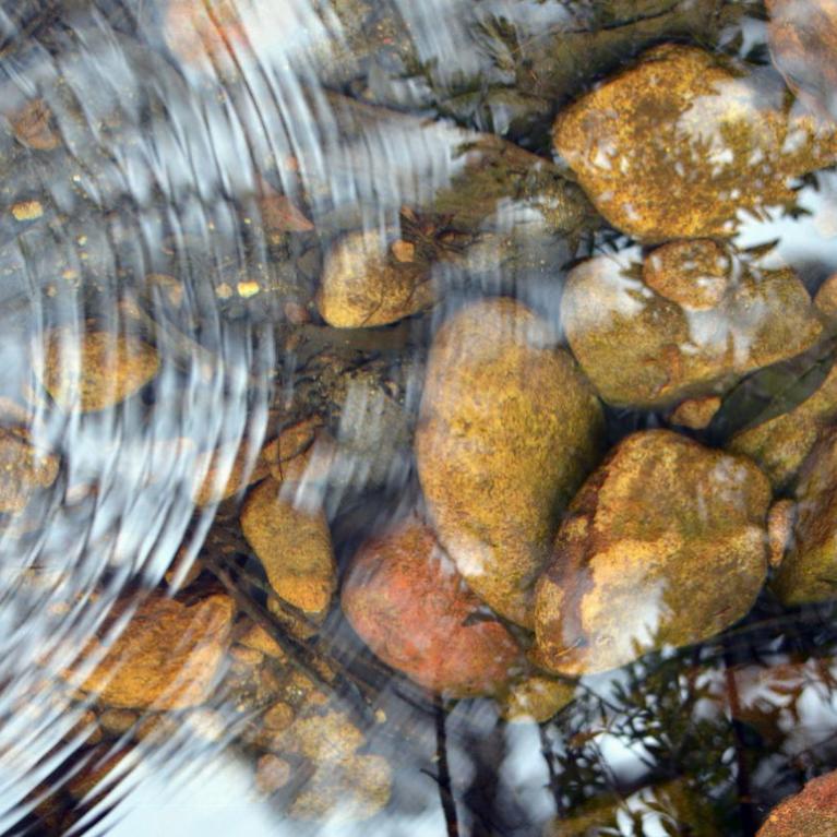 A stock image of clean water over pebbles in a stream