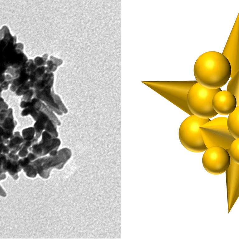 viral template gold nanobead