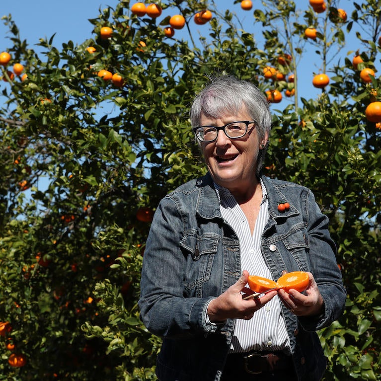 Tracy Kahn, curator of the UC Riverside’s Givaudan Citrus Variety Collection, standing in the orange groves