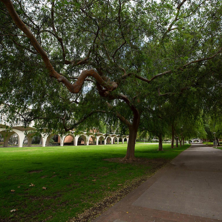 View of pathway near Rivera Library with no people.