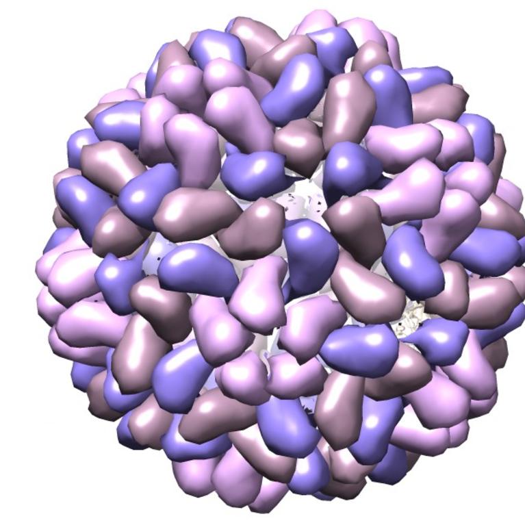 Brome Mosaic virus molecule