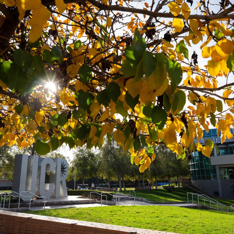 Fall leaves with the HUB and UCR sign in background