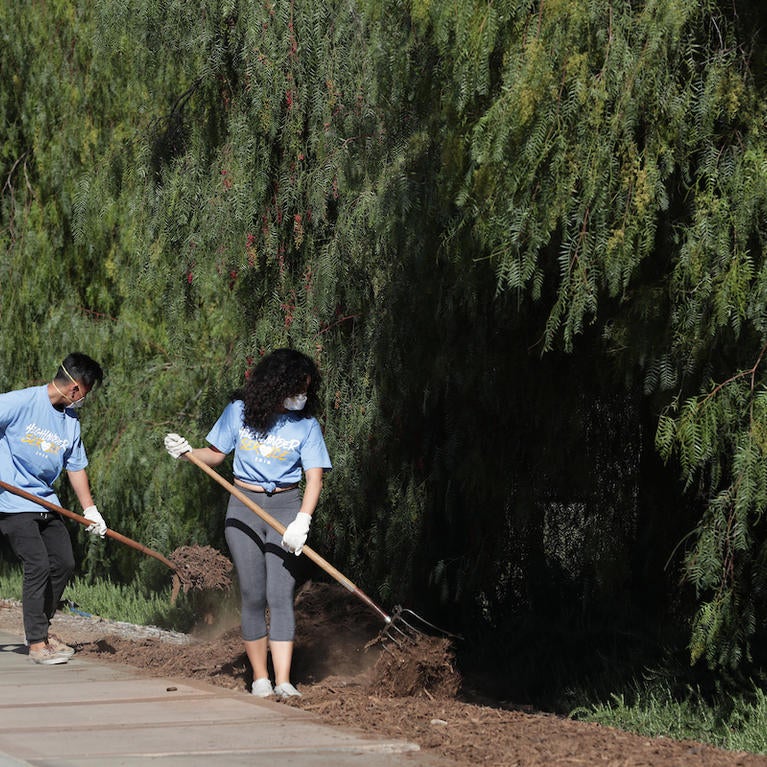 UC Riverside is one of 45 California colleges and universities participating in the newly launched #CaliforniansForAll College Corps program. (File photo, UCR/Stan Lim)