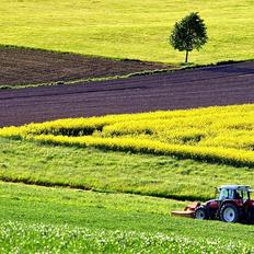 tractor in field