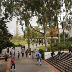 campus