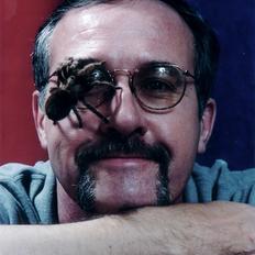 Spider expert Rick Vetter