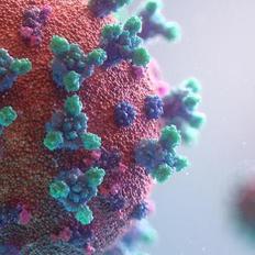 Covid coronavirus