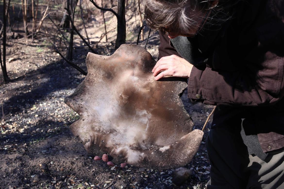 Anna Mayer Anna Mayer, "Recovering Wildfire-fired Ceramic," 2018. (Courtesy of the artist)