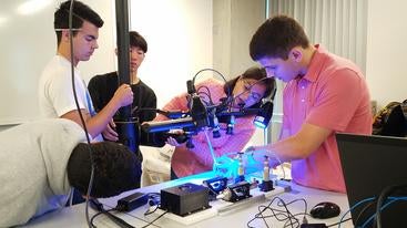 Students in Mona Eskandari's lab experimenting on pig lungs