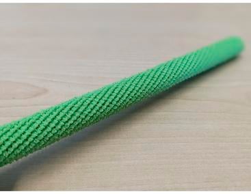 viral nanotube nanotube