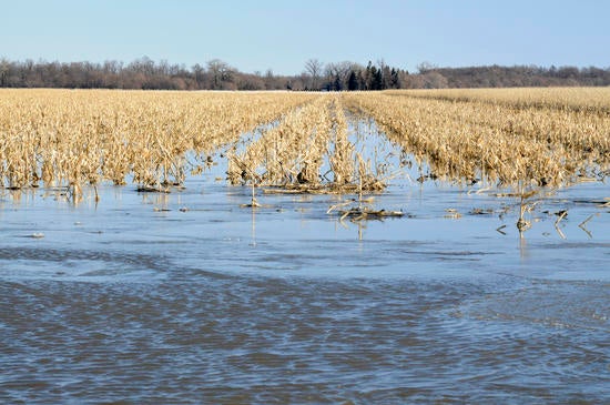 Flooded farmland A photo of flooded farmland.